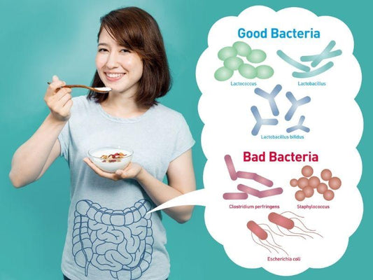 What Are Probiotics?