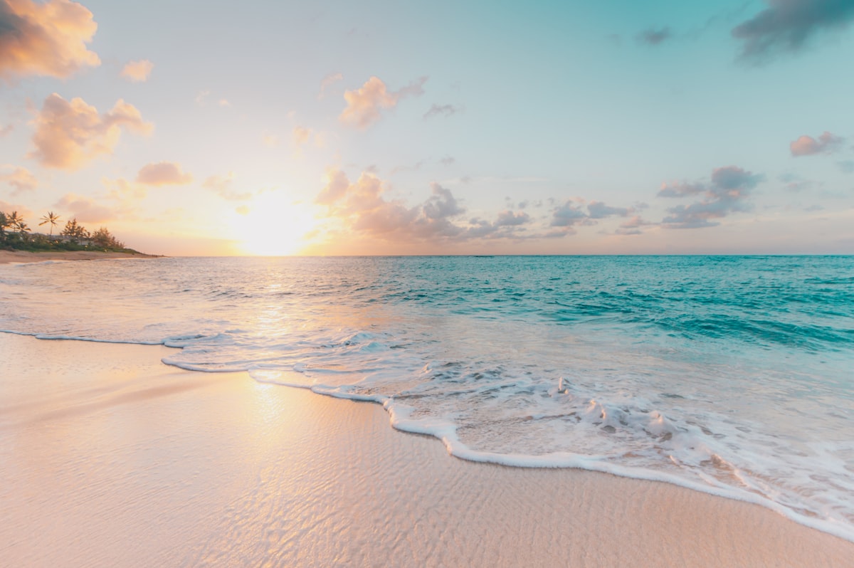 Why Aquamin Is the Best Source of Magnesium Most People Have Never Heard Of