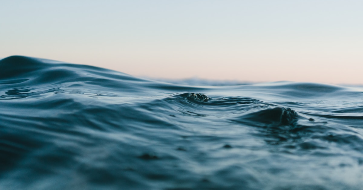 How Long Does Sea Moss Take to Work? (Week-by-Week Timeline)