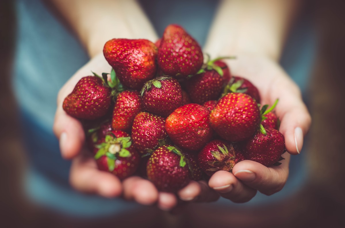 Prebiotics vs. Probiotics: Which Does Your Gut Actually Need?